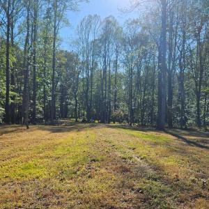 Photo #30 of SHARP ROCK ROAD, SPERRYVILLE, VA 11.5 acres