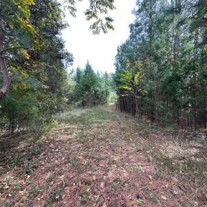 Photo #7 of 10325 LITCHFIELD DR, SPOTSYLVANIA, VA 0.9 acres