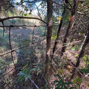 Photo #6 of 10325 LITCHFIELD DR, SPOTSYLVANIA, VA 0.9 acres