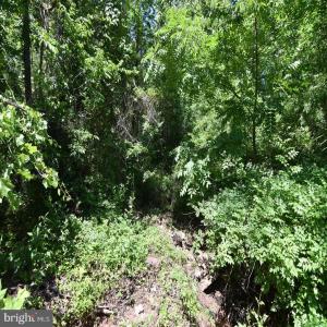 Photo #5 of 34 MCALEXANDER RD, ORANGE, VA 7.5 acres