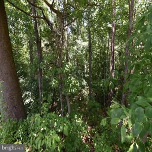 Photo #6 of 34 MCALEXANDER RD, ORANGE, VA 7.5 acres
