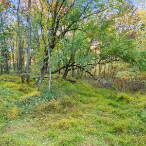Photo #26 of 6450 JOHN BARTON PAYNE RD, MARSHALL, VA 10.0 acres