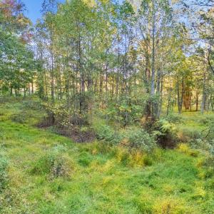 Photo #28 of 6450 JOHN BARTON PAYNE RD, MARSHALL, VA 10.0 acres