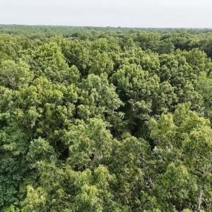 Photo #2 of 15 HANBACK RD, GORDONSVILLE, VA 2.5 acres