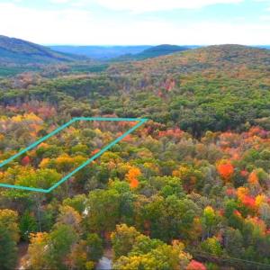 Photo #5 of 6067 LAUREL RD, SHIPMAN, VA 3.0 acres