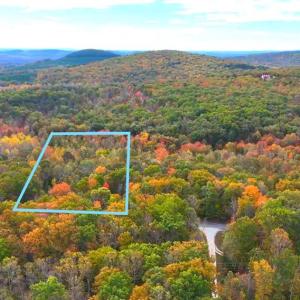 Photo #6 of 6067 LAUREL RD, SHIPMAN, VA 3.0 acres