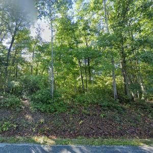 Photo #5 of LAUREL RD, SHIPMAN, VA 3.2 acres