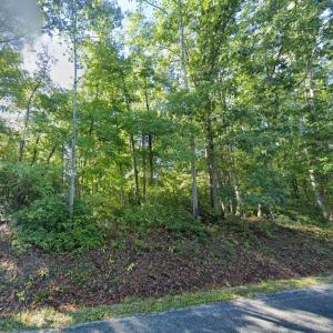 Photo #6 of LAUREL RD, SHIPMAN, VA 3.2 acres