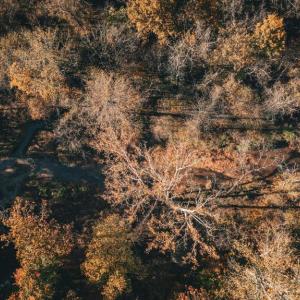 Photo #3 of 14603 COX MILL RD, GORDONSVILLE, VA 178.6 acres