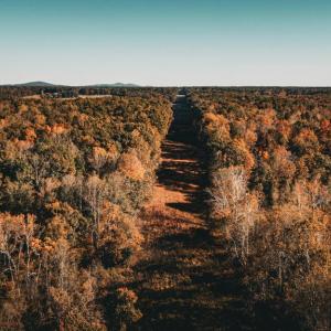 Photo #4 of 14603 COX MILL RD, GORDONSVILLE, VA 178.6 acres