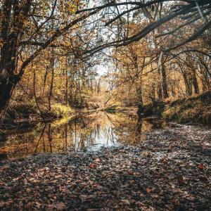 Photo #1 of 14603 COX MILL RD, GORDONSVILLE, VA 178.6 acres