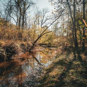 Photo #5 of 14603 COX MILL RD, GORDONSVILLE, VA 178.6 acres