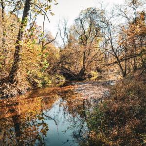 Photo #6 of 14603 COX MILL RD, GORDONSVILLE, VA 178.6 acres