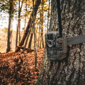 Photo #12 of 14603 COX MILL RD, GORDONSVILLE, VA 178.6 acres