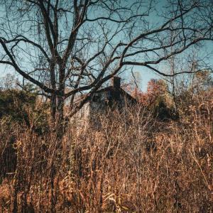 Photo #18 of 14603 COX MILL RD, GORDONSVILLE, VA 178.6 acres