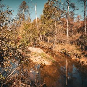 Photo #23 of 14603 COX MILL RD, GORDONSVILLE, VA 178.6 acres