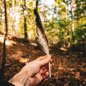 Photo #33 of 14603 COX MILL RD, GORDONSVILLE, VA 178.6 acres