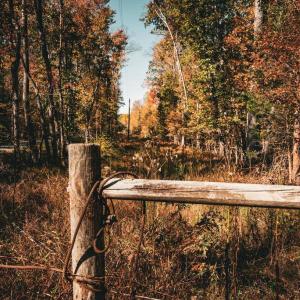 Photo #43 of 14603 COX MILL RD, GORDONSVILLE, VA 178.6 acres