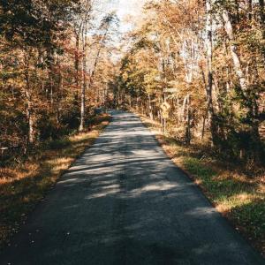 Photo #44 of 14603 COX MILL RD, GORDONSVILLE, VA 178.6 acres