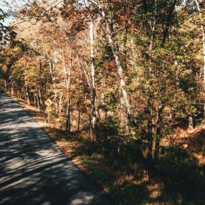 Photo #45 of 14603 COX MILL RD, GORDONSVILLE, VA 178.6 acres