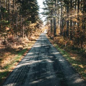 Photo #46 of 14603 COX MILL RD, GORDONSVILLE, VA 178.6 acres