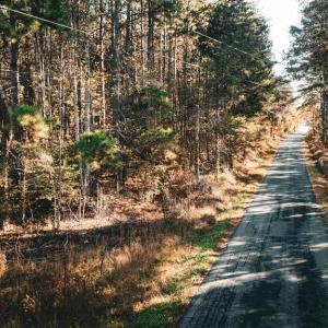 Photo #47 of 14603 COX MILL RD, GORDONSVILLE, VA 178.6 acres