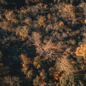 Photo #48 of 14603 COX MILL RD, GORDONSVILLE, VA 178.6 acres