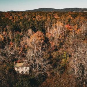 Photo #49 of 14603 COX MILL RD, GORDONSVILLE, VA 178.6 acres