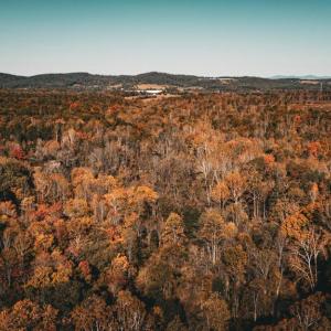 Photo #50 of 14603 COX MILL RD, GORDONSVILLE, VA 178.6 acres