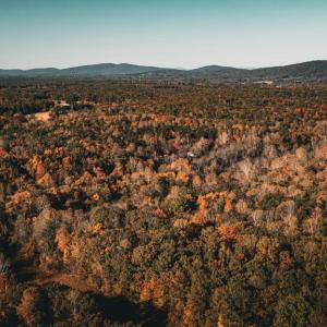 Photo #51 of 14603 COX MILL RD, GORDONSVILLE, VA 178.6 acres