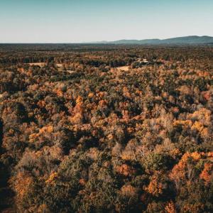 Photo #52 of 14603 COX MILL RD, GORDONSVILLE, VA 178.6 acres