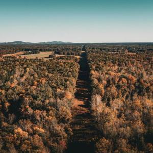 Photo #53 of 14603 COX MILL RD, GORDONSVILLE, VA 178.6 acres