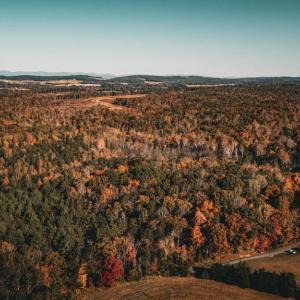 Photo #54 of 14603 COX MILL RD, GORDONSVILLE, VA 178.6 acres