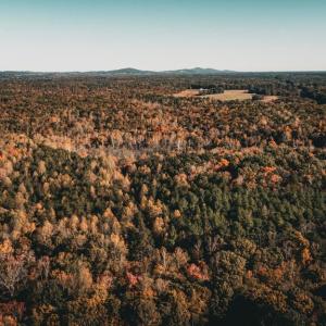 Photo #56 of 14603 COX MILL RD, GORDONSVILLE, VA 178.6 acres