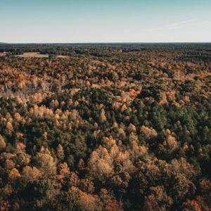 Photo #57 of 14603 COX MILL RD, GORDONSVILLE, VA 178.6 acres