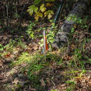 Photo #12 of HAMS FORD RD, SPOTSYLVANIA, VA 3.2 acres