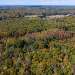 Photo #10 of HAMS FORD RD, SPOTSYLVANIA, VA 3.2 acres