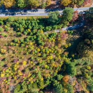 Photo #4 of HAMS FORD RD, SPOTSYLVANIA, VA 3.2 acres