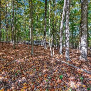 Photo #2 of 107 GOLD VALLEY RD, LOCUST GROVE, VA 0.2 acres