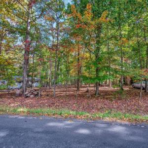 Photo #1 of 107 GOLD VALLEY RD, LOCUST GROVE, VA 0.2 acres