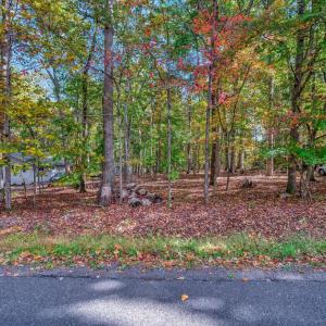 Photo #16 of 107 GOLD VALLEY RD, LOCUST GROVE, VA 0.2 acres