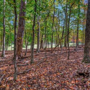 Photo #9 of 107 GOLD VALLEY RD, LOCUST GROVE, VA 0.2 acres