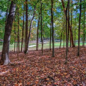Photo #8 of 107 GOLD VALLEY RD, LOCUST GROVE, VA 0.2 acres