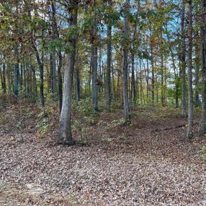 Photo #4 of LOT 8 RAINBOW RIDGE, BUMPASS, VA 1.0 acres