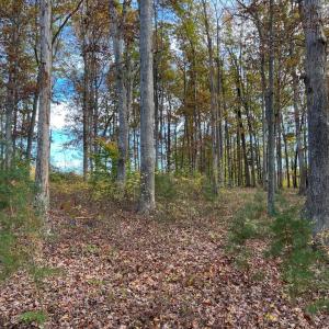 Photo #5 of LOT 8 RAINBOW RIDGE, BUMPASS, VA 1.0 acres