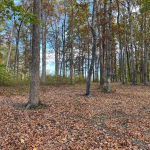 Photo #6 of LOT 8 RAINBOW RIDGE, BUMPASS, VA 1.0 acres