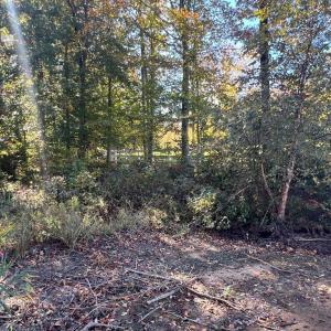 Photo #3 of LOT 5 PROMISE LANE, BUMPASS, VA 1.0 acres