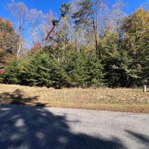 Photo #5 of LOT 5 PROMISE LANE, BUMPASS, VA 1.0 acres