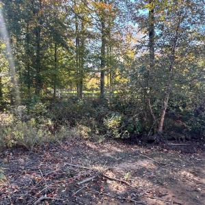 Photo #4 of LOT 5 PROMISE LANE, BUMPASS, VA 1.0 acres