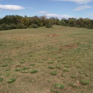 Photo #3 of DUNKARD CHURCH RD, RIXEYVILLE, VA 5.0 acres
